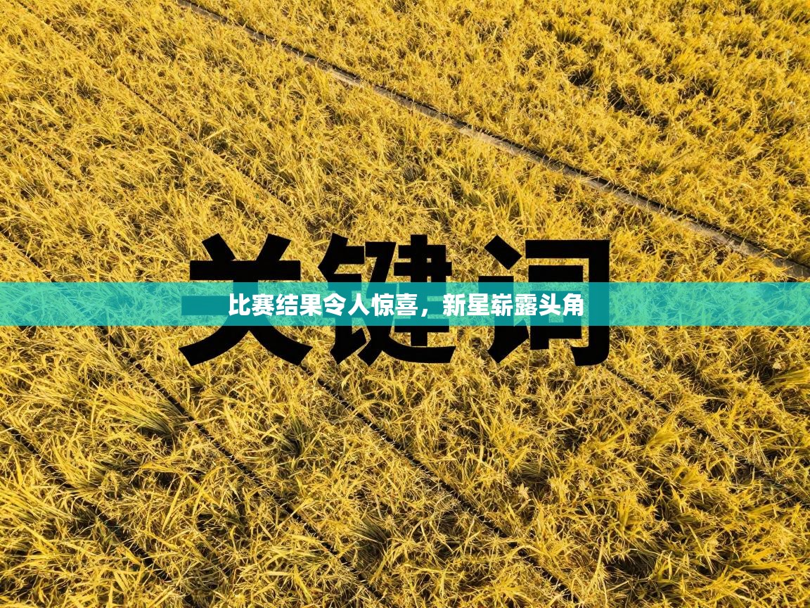 比赛结果令人惊喜,新星崭露头角 第1张